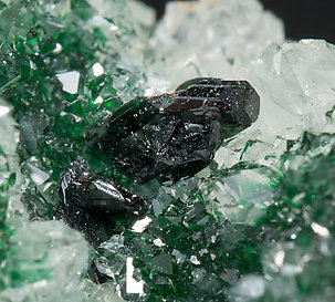 Clinoatacamite with Quartz. 