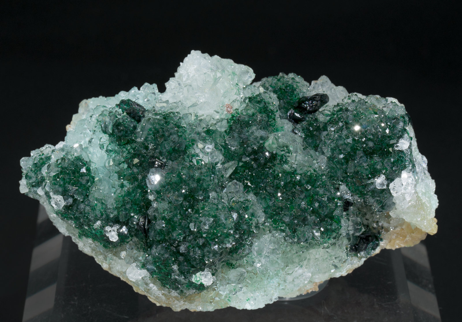 specimens/s_imagesZ2/Clinoatacamite-TF66Z2f.jpg