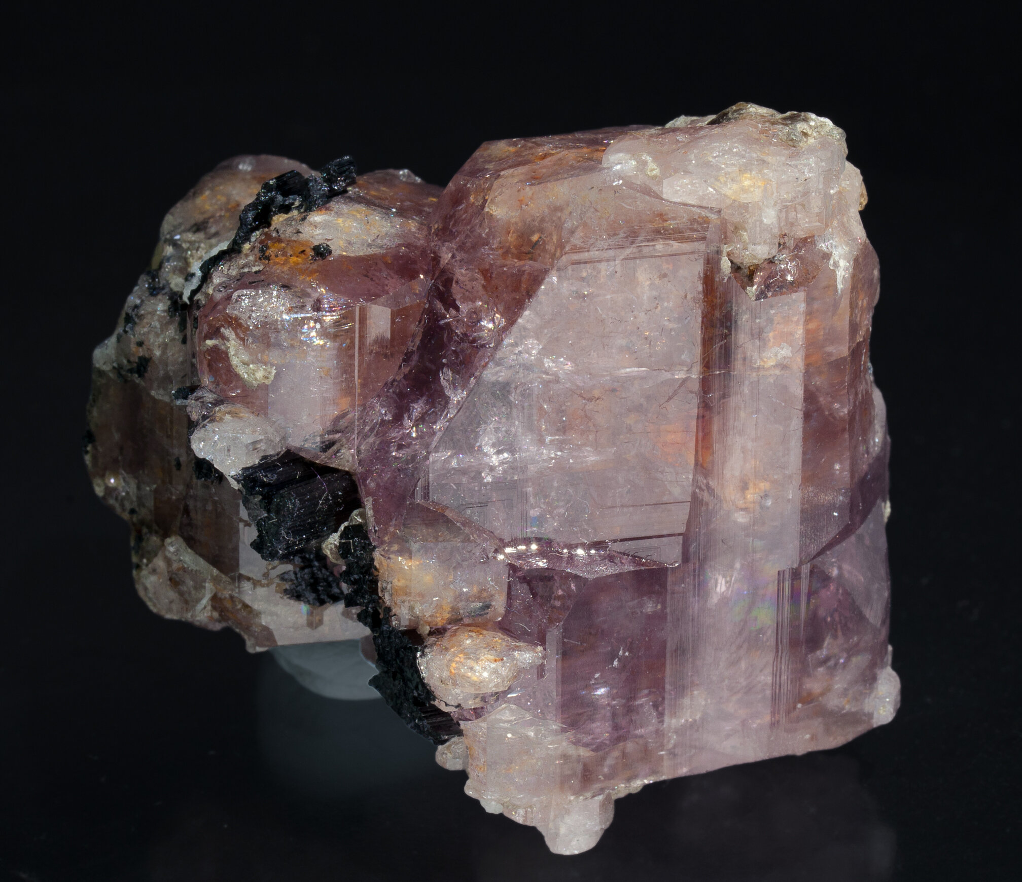 specimens/s_imagesZ2/Fluorapatite-TC30Z2s.jpg