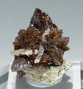 Helvine-Danalite with Quartz and Chlorite. Front