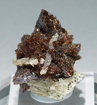 Helvine-Danalite with Quartz and Chlorite.