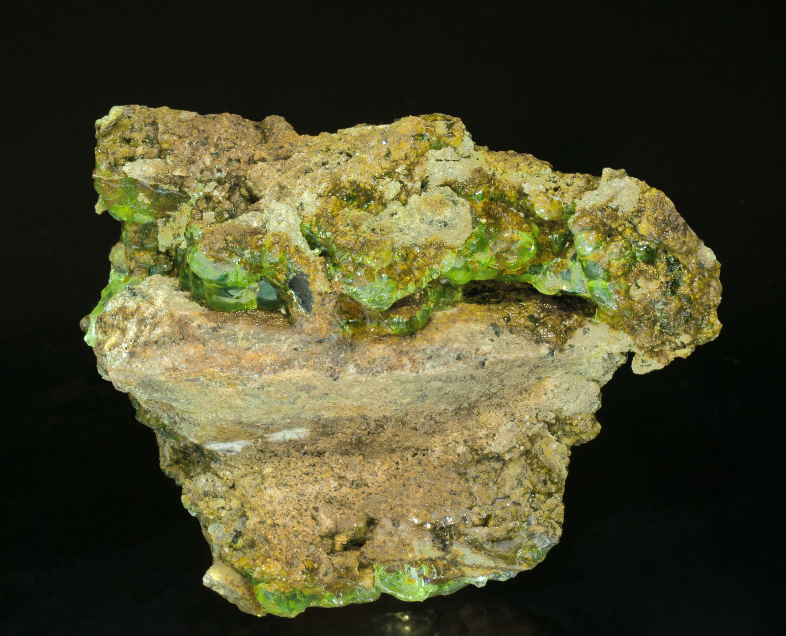 specimens/s_imagesZ2/Opal-TB47Z2f2.jpg