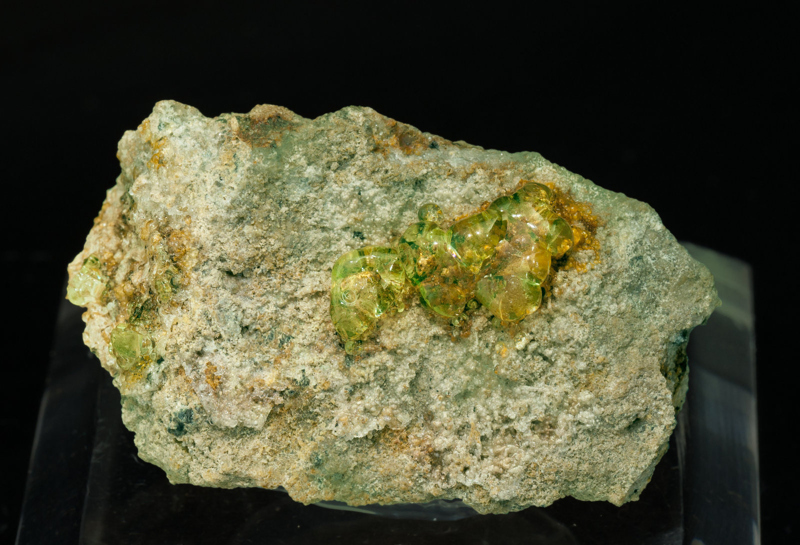 specimens/s_imagesZ2/Opal-TJ14Z2f1.jpg