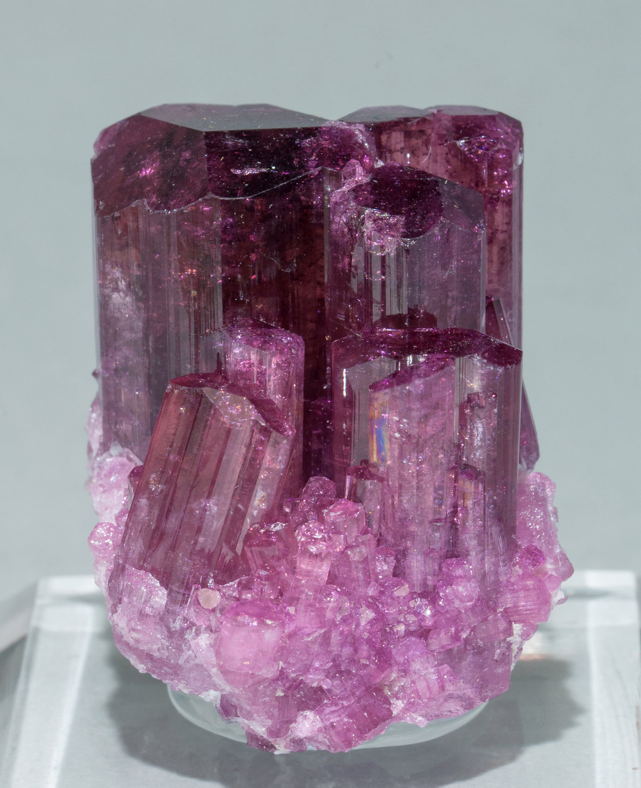 specimens/s_imagesZ3/Elbaite_rubellite-TX98Z3f.jpg