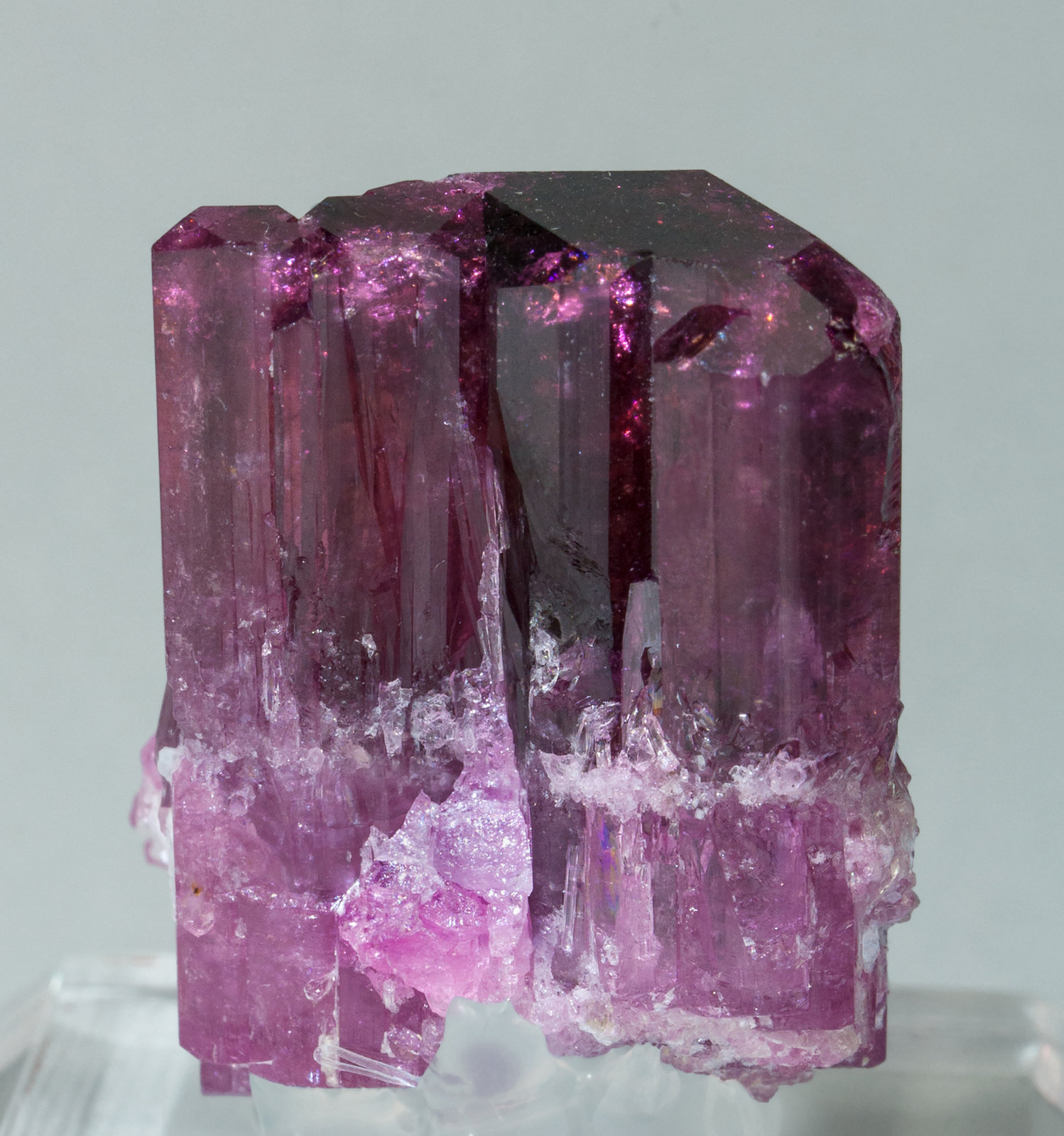 specimens/s_imagesZ3/Elbaite_rubellite-TX98Z3r.jpg