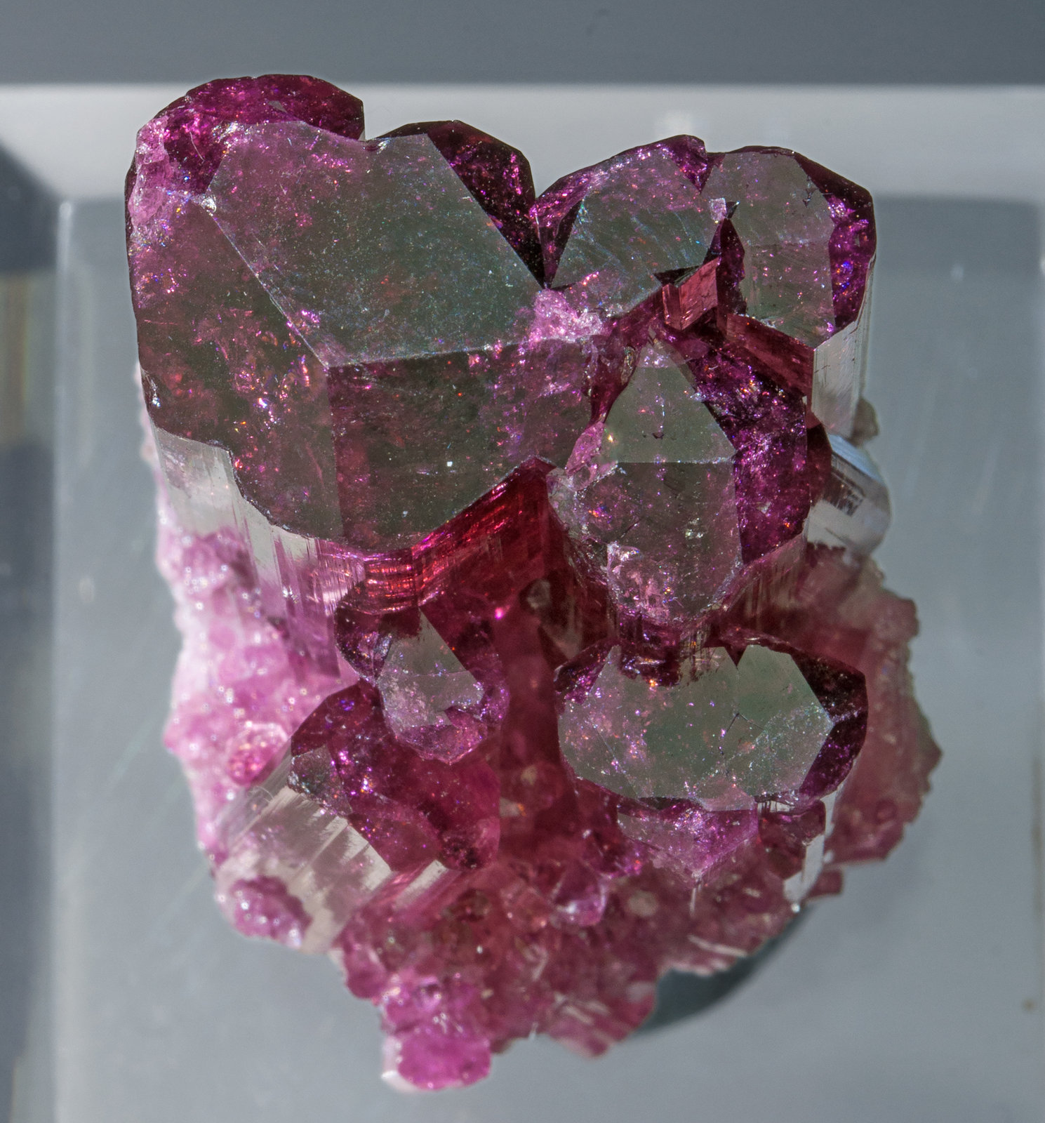 specimens/s_imagesZ3/Elbaite_rubellite-TX98Z3t.jpg