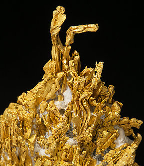 Oro nativo con Cuarzo. 