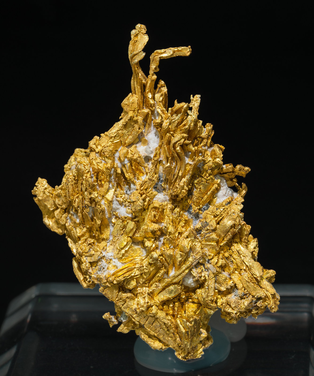 specimens/s_imagesZ3/Gold-TC56Z3f.jpg