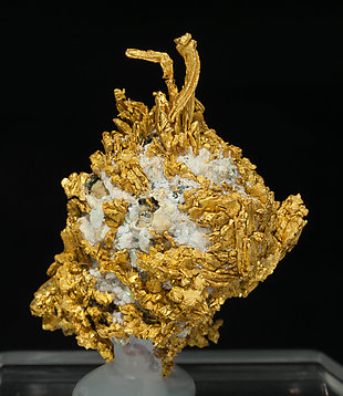Oro nativo con Cuarzo. Vista posterior