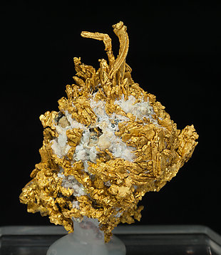 Gold on Quartz. Rear