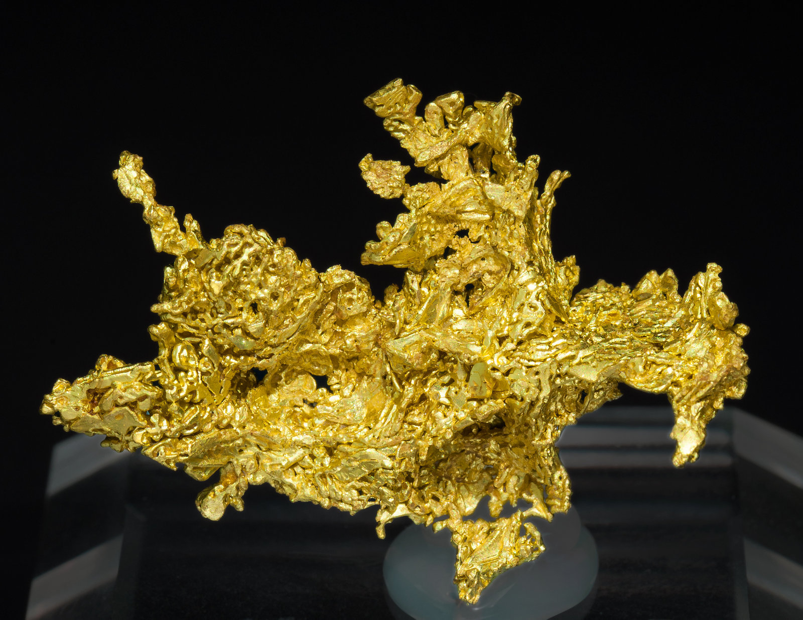 specimens/s_imagesZ3/Gold-TQ46Z3f.jpg