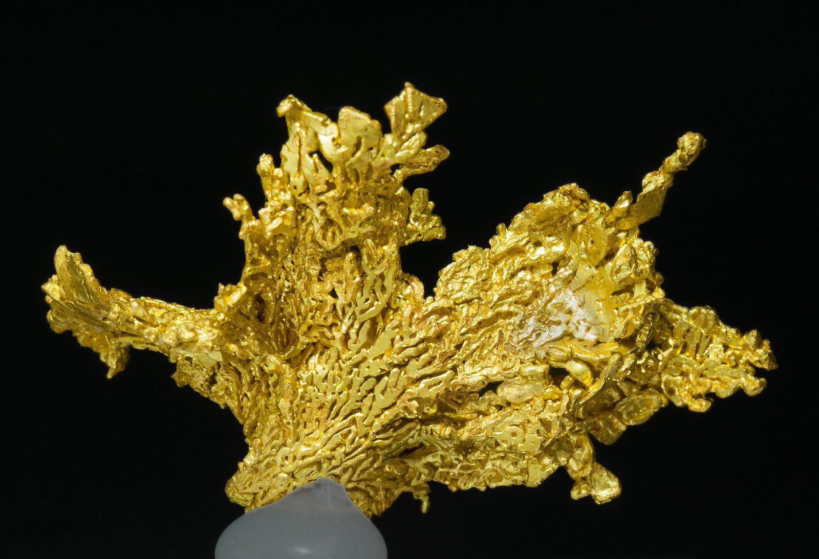 specimens/s_imagesZ3/Gold-TQ46Z3r.jpg