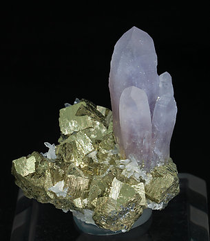 Quartz (variety amethyst) with Pyrite. 
