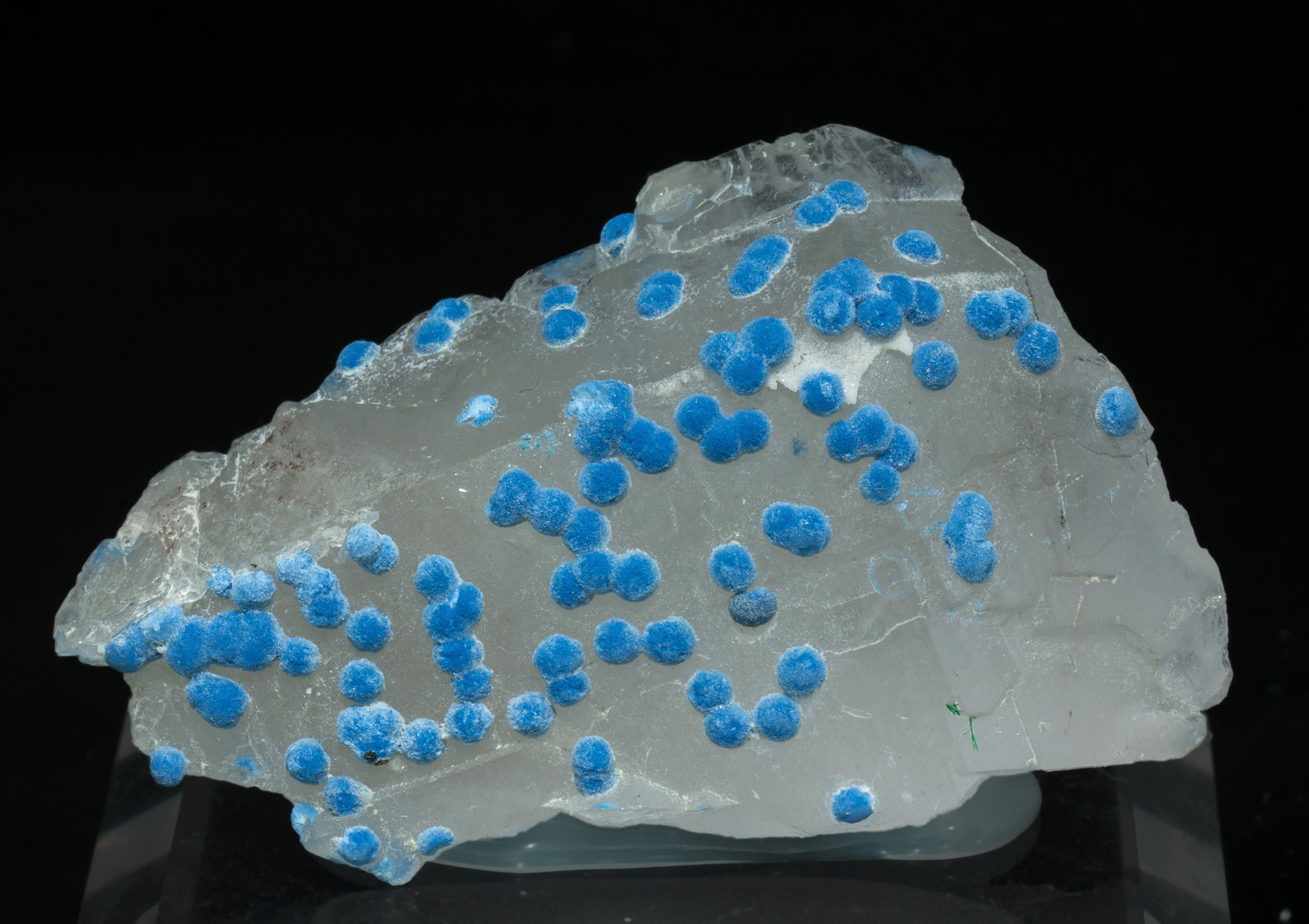 specimens/s_imagesZ3/Shattuckite-TN27Z3f.jpg