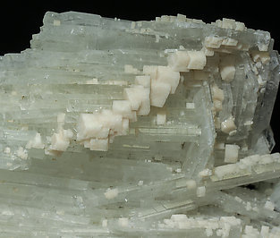 Albite (variety cleavelandite) with Feldspar. 