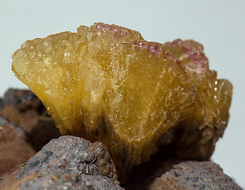 Adamite (variety manganoan) on Goethite. 
