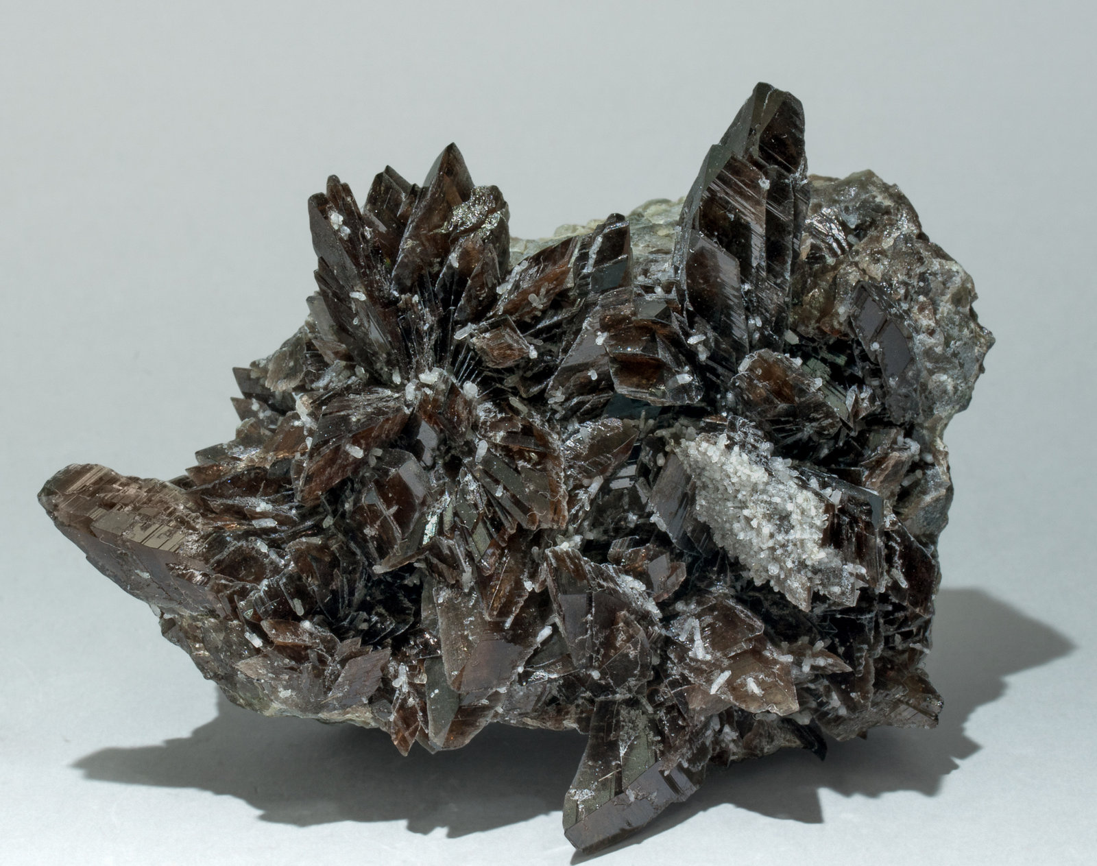 specimens/s_imagesZ5/Axinite_Mn-TR70Z5f.jpg