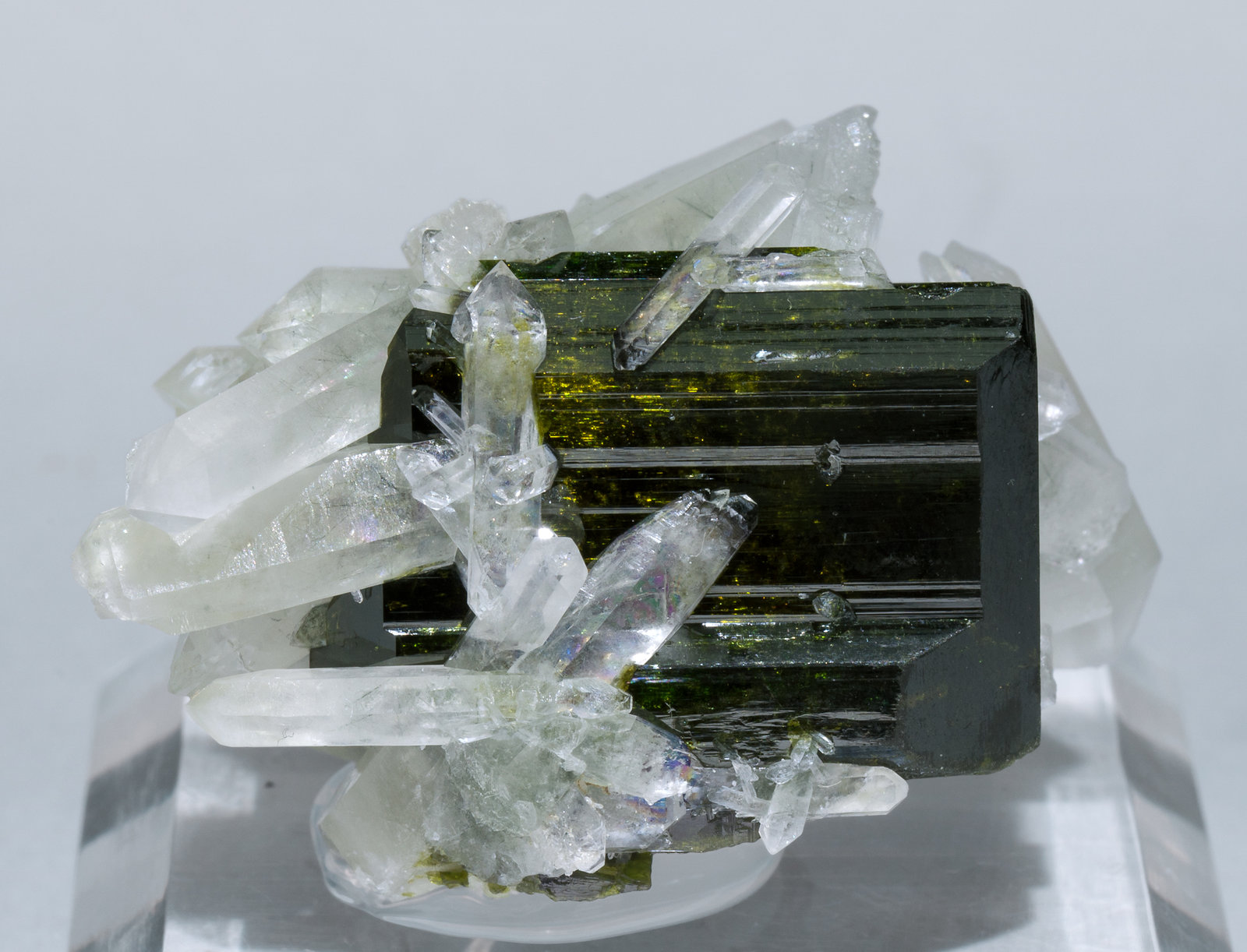 specimens/s_imagesZ5/Epidote-TF96Z5f.jpg