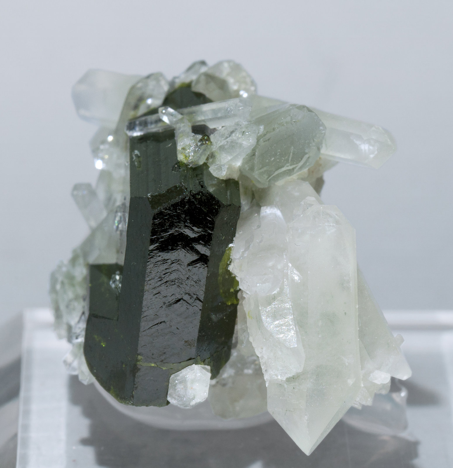 specimens/s_imagesZ5/Epidote-TF96Z5s.jpg