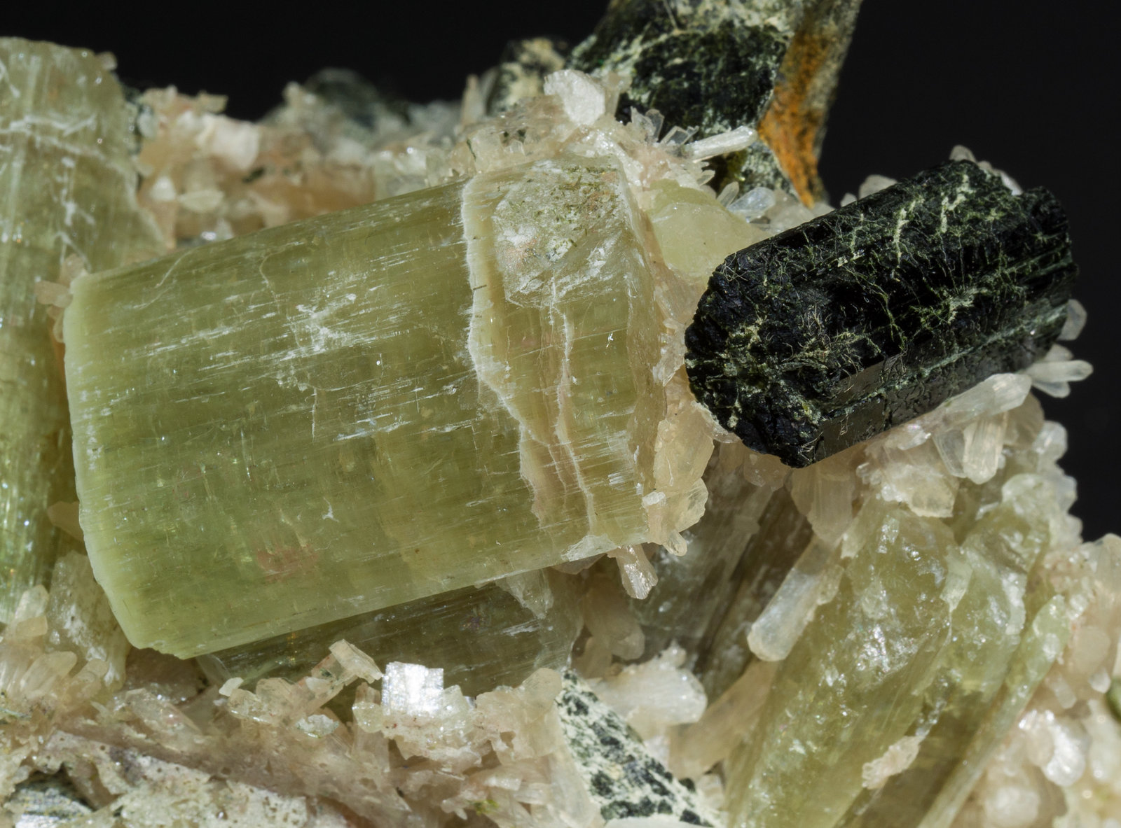 specimens/s_imagesZ5/Fluorapatite-EG96Z5d.jpg