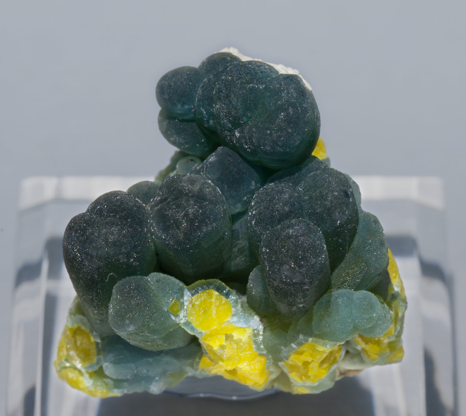 specimens/s_imagesZ6/Plumbogummite-TE17Z6f.jpg