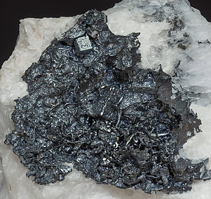 Acanthite with Calcite. 