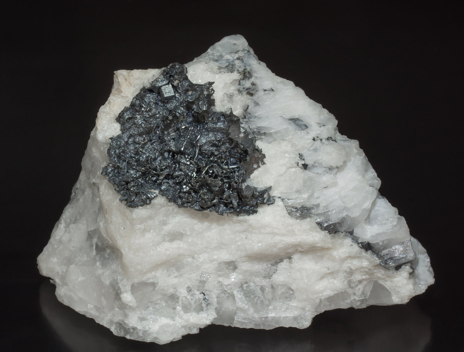 specimens/s_imagesZ7/Acanthite-TV69Z7f.jpg