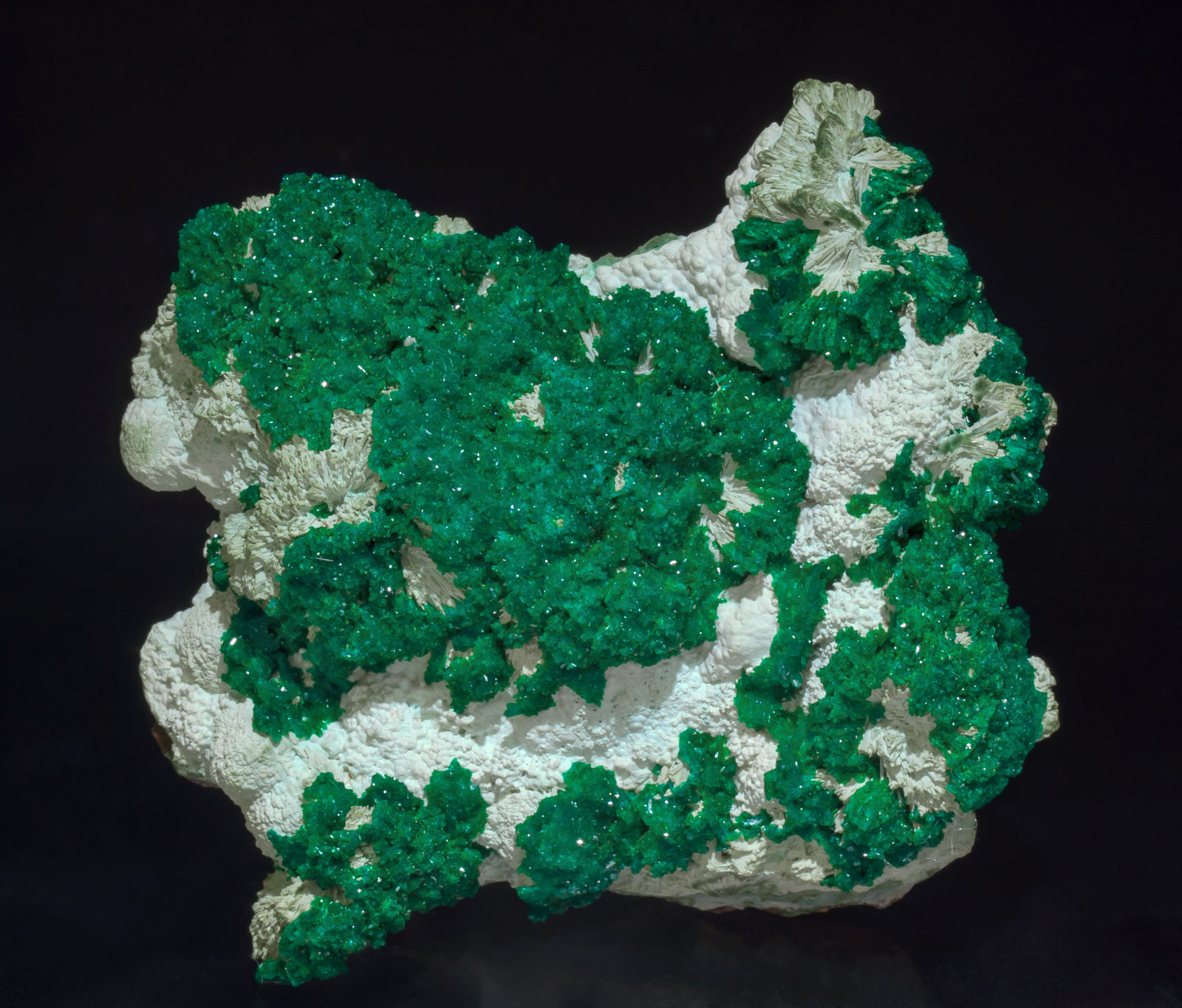 specimens/s_imagesZ7/Dioptase-TP99Z7f.jpg