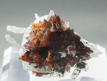 Helvine-Genthelvite with Quartz and Calcite. Light behind