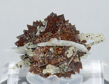 Helvine-Genthelvite with Quartz and Calcite. Rear