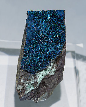 Covellite. 