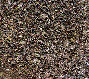 Covellite. 
