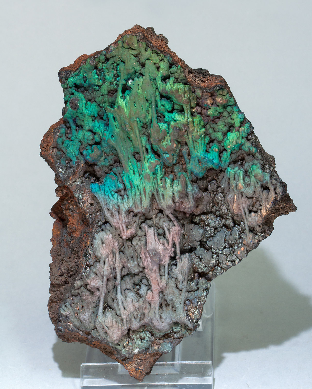 specimens/s_imagesZ8/Goethite-FB6Z8f.jpg