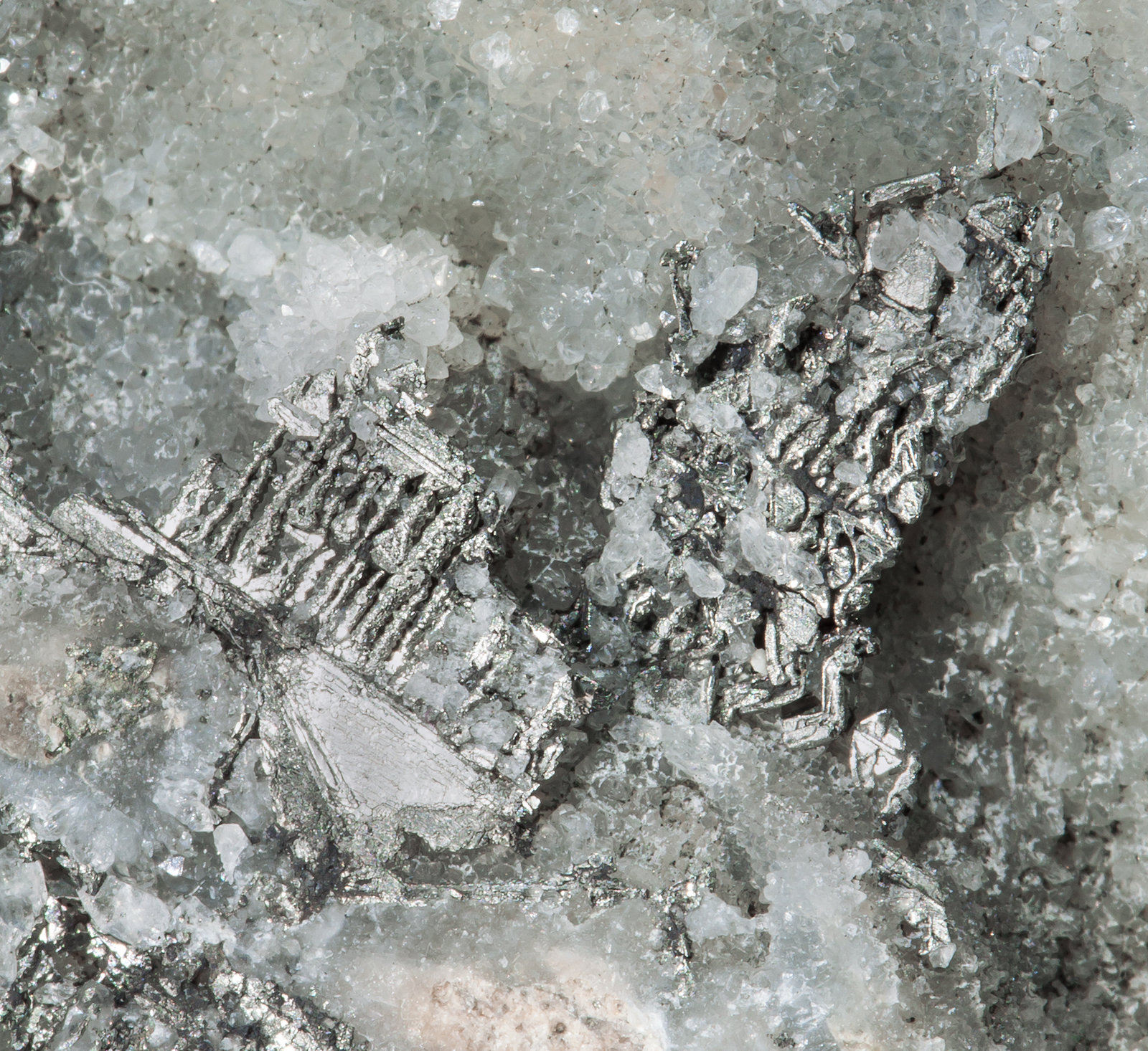specimens/s_imagesZ8/Sylvanite-MH36Z8d1.jpg