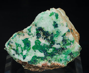 Clinoclase with Malachite and Quartz.