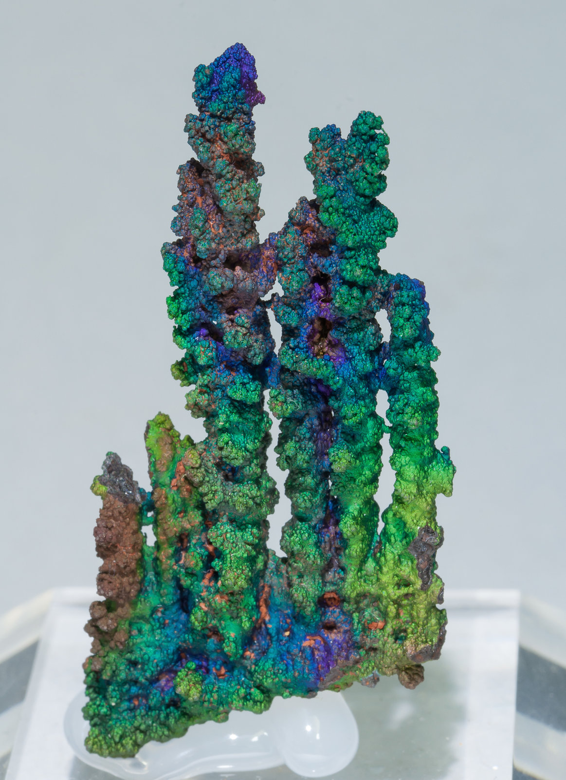 specimens/s_imagesZ9/Goethite-FZ62Z9f.jpg