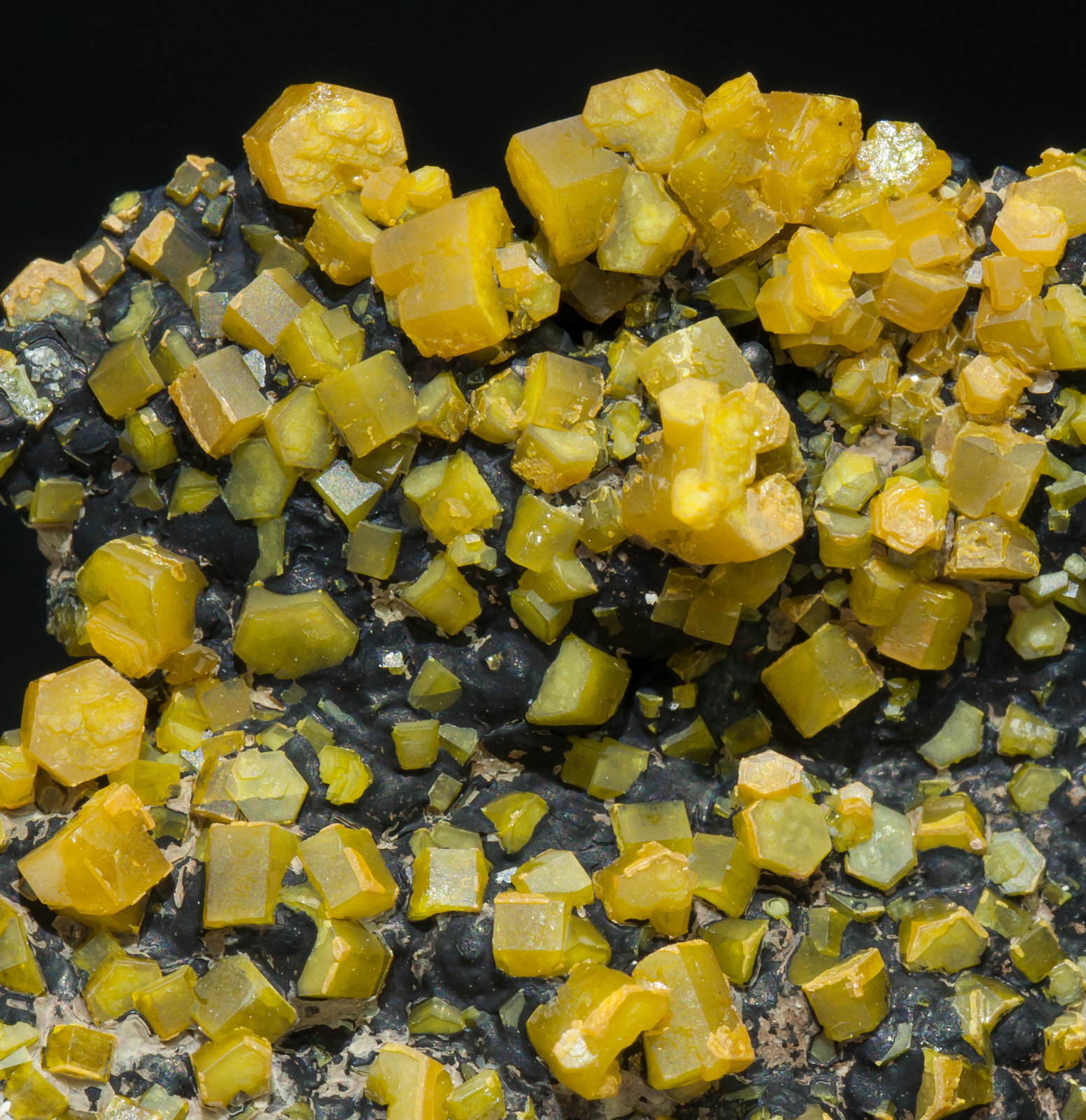 specimens/s_imagesZ9/Mimetite-FH14Z9d.jpg