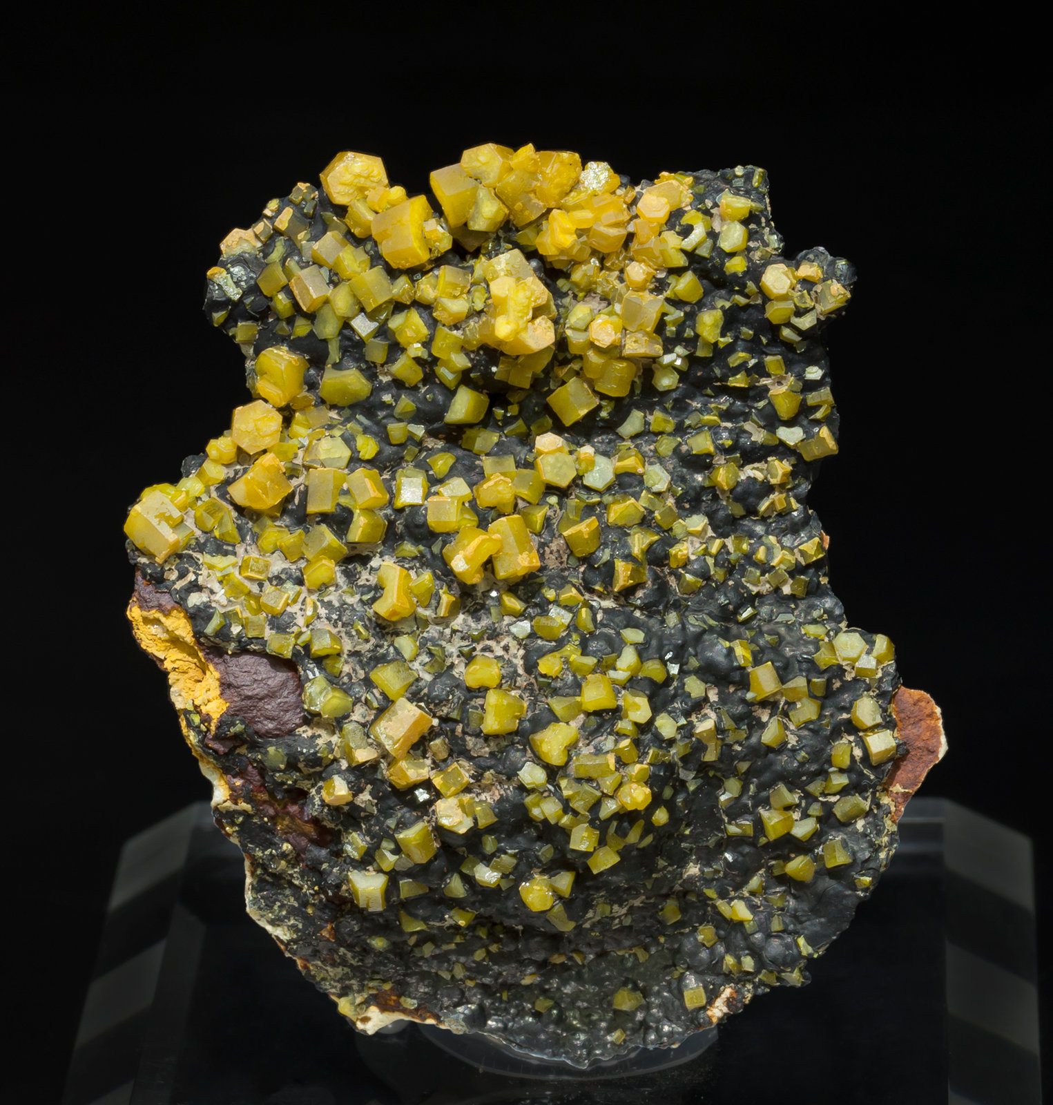 specimens/s_imagesZ9/Mimetite-FH14Z9f.jpg