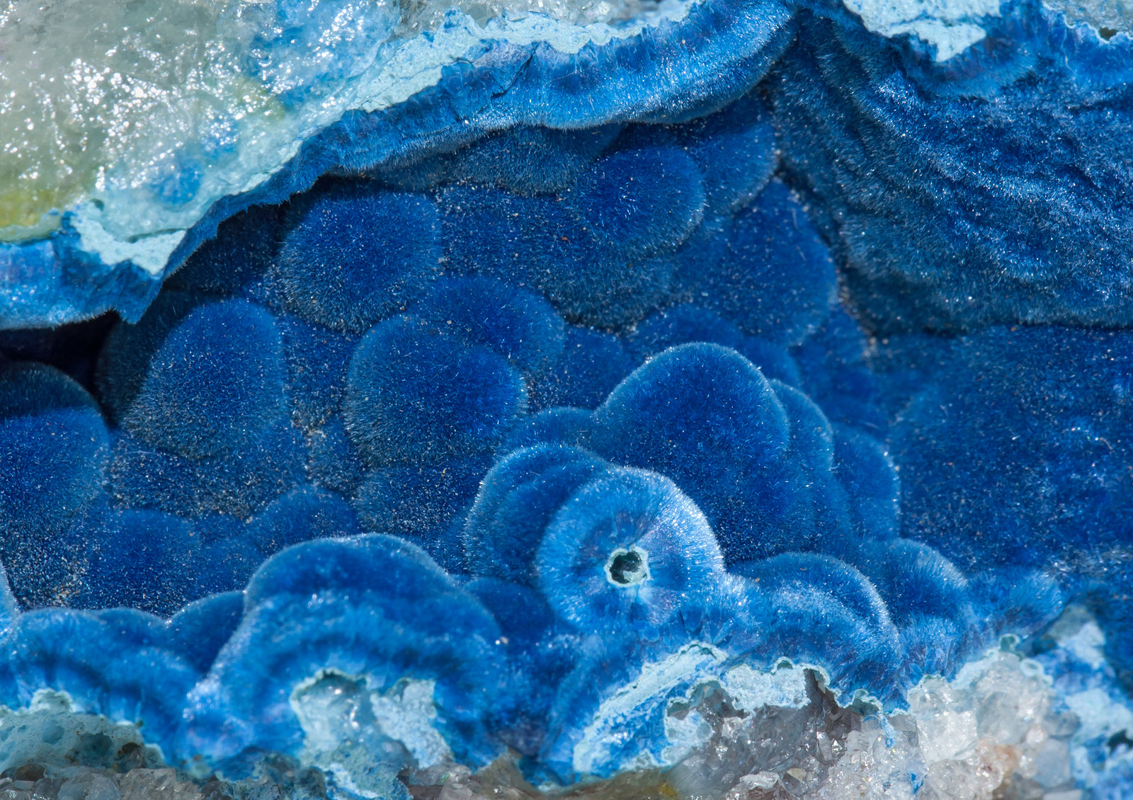 specimens/s_imagesZ9/Shattuckite-TE10Z9d.jpg