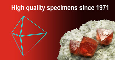 /webupdate/AP7/Banner_Fabre_Minerals_-_2023EN.jpg